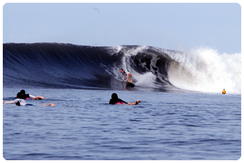 Deep Blue Barrels surfing in Costa Rica